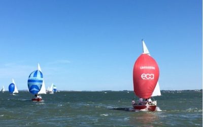 Sonata Race report ~ Sat 29th July