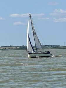 Magic is a Westerly Tiger